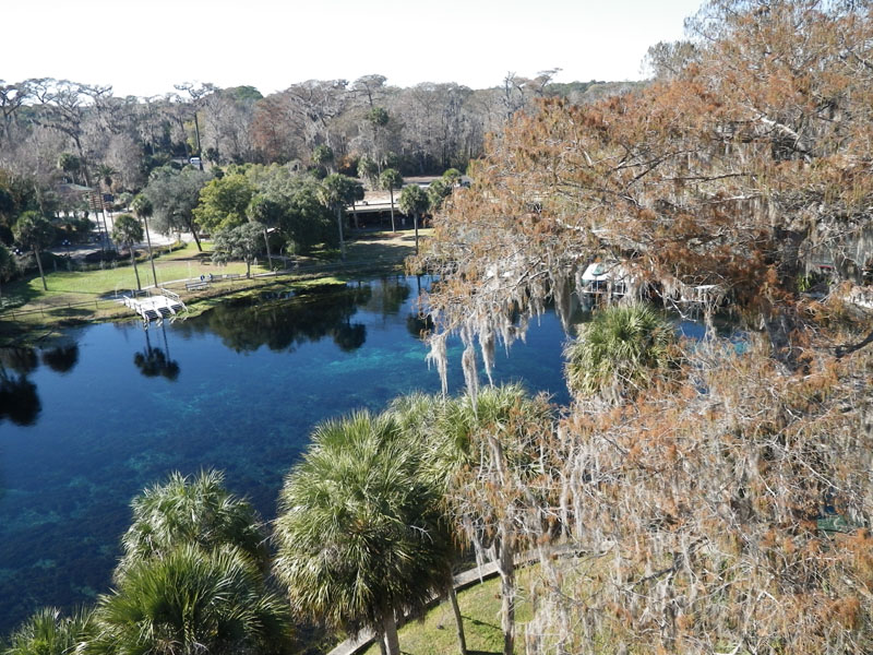 Silver Springs Details and Pictures